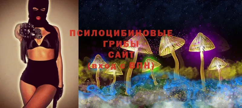 Псилоцибиновые грибы MAGIC MUSHROOMS  Богородицк 